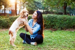 Finding Your Perfect Companion: Havanese Puppies for Sale in Indiana