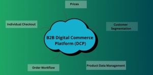 Exploring the Growth of B2B Digital Commerce Platforms in Japan and China