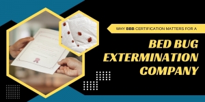 Why BBB Certification Matters for a Bed Bug Extermination Company