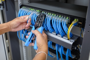 Wired for Success: The Strategic Role of Network Cabling in Business Growth