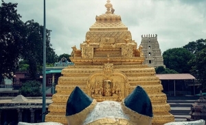 Accommodation Near Mallikarjuna Temple: A Complete Guide