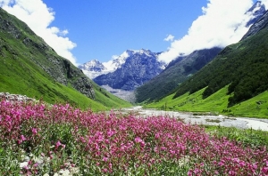 Valley of Flowers Trek: A Stunning Journey Through India's Floral Paradise