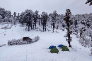 Dayara Bugyal Trek: A Scenic Expedition in Uttarakhand’s Himalayan Paradise