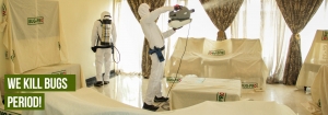Effective Fumigation Services in Lagos: A Key to Pest-Free Living