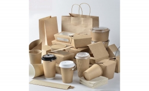 Biodegradable Packaging Market Set for Substantial Growth Through 2031