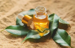Soap and Skin Defense: Protecting Your Skin with Tea Tree Oil Body Wash