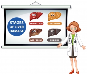 Liver Transplant Success Rate: What You Need To Know