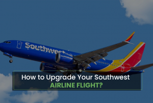 Tours N Travel Pro: Making Your Southwest Airlines Seat Upgrade Effortless