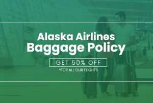 Tours N Travel Pro: Understanding Alaska Airlines Baggage Fees