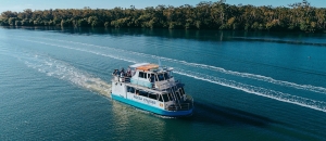 Discover Noosa's Secretive Treasure Like Beauty by Boat!