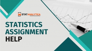 Instant Statistics Assignment Help From Statisticians
