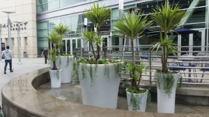 Expert Tips for Successfully Collaborating with a Landscape Company in Riyadh