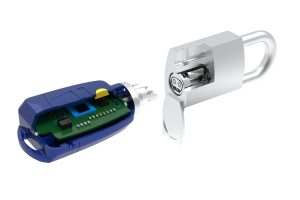 Intelligent Electronic Lock Market Size | Trends by 2024-2032