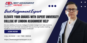 Elevate Your Grades with Expert University College Of London Assignment Help