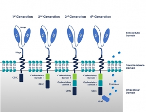 Chimeric Antigen Receptor (CAR) T-Cell Therapy Market Size, Share, Growth, Forecast 2024-34