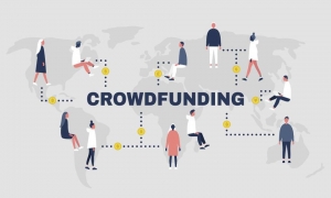 Crowdfunding Strategies: Can Software Improve Transparency and Trust in Crowdfunding Projects?