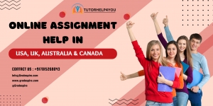 Assignment Help for RMIT University, James Cook University, Torrens University, and Southern Cross University Students
