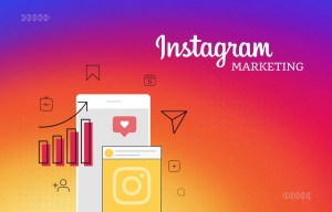 Instagram Marketing Agency  | IIS INDIA 