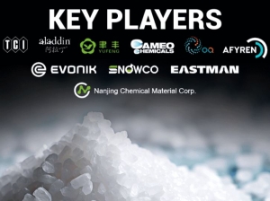 Isobutyric Acid Market Value in 2032 with Competition Analysis Data of Top Key Players