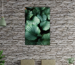 The Art and Significance of Wall Painting