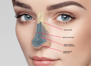 Nose Surgery: Transform Your Look and Boost Your Confidence