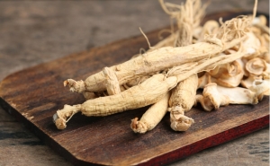 Prefeasibility Report on a Ginseng processing Plant Project Setup Cost and Expanses