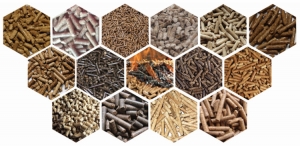 Biomass Pellets Market — Global Industry Trends, Growth, Opportunities and Forecasts