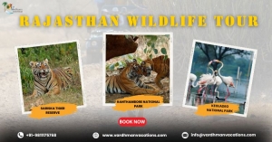 Rajasthan’s Untamed Beauty: A Guide to Wildlife Exploration