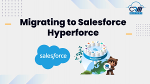 Tips For A Smooth Salesforce Implementation Process