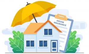 How to Choose the Best Home Insurance Provider in the UAE