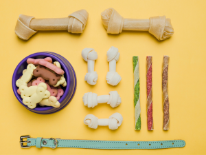 Chew, Tug, Fetch: Exploring Versatile Dog Toys for Every Activity