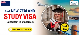 Reliable Advice from New Zealand Study Visa Consultants in Chandigarh