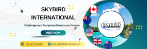 How to Select the Right Canada Visa Consultant in Sirsa?