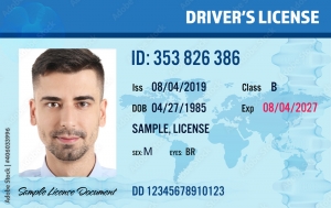 Free Drivers License Templates: Editable and Printable