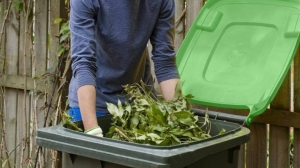 How To Manage Your Green Waste In An Environmentally Friendly Way?