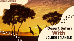 Desert Safari with Golden Triangle: A Perfect Blend of Heritage and Adventure