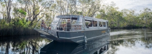 Exploring the Noosa River: A Cruise Through Nature's Wonderland