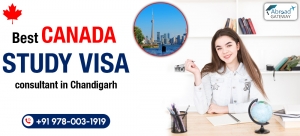 Step-by-Step Guidance from Canada Study Visa Consultants in Chandigarh