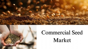 Commercial Seed Market Size, Share, Trends and Growth Forecast to 2032