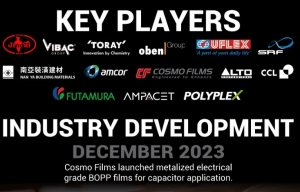 BOPP Films Market Overview, Industry Growth Rate, Research Report 2024-2032