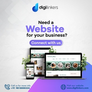 SEO Company in Delhi: Digilinkers Driving Digital Success