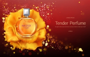 The Perfect Pairing: Best Premium Perfume Oils and Your Personality