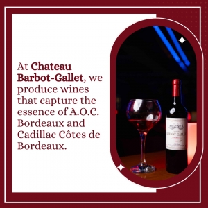 Discover the Best Red Wine in Delhi NCR and Haryana at Chateau Barbot Gallet