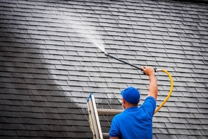 Professional Roof Wash Services in Winter Springs, FL