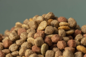 Turkey Pet Food Market Industry Trends, Share, Size, Growth, Opportunity and Forecast 2024-2032