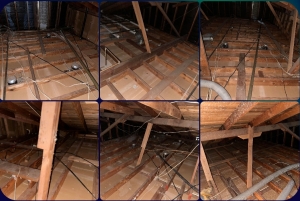 Home Insulation Removal: Cost-Effective Solutions for a Healthier Living Space