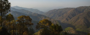 Eco-Friendly Resorts in Lansdowne for Nature Lovers