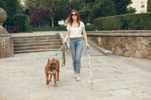 Trusted Dog Walking Solutions in New Orleans