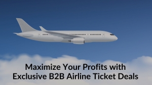 Maximize Your Profits with Exclusive B2B Airline Ticket Deals