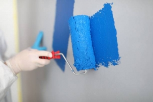 Discover the Best Paint for Walls at JKMaxx Paints for a Perfect Finish